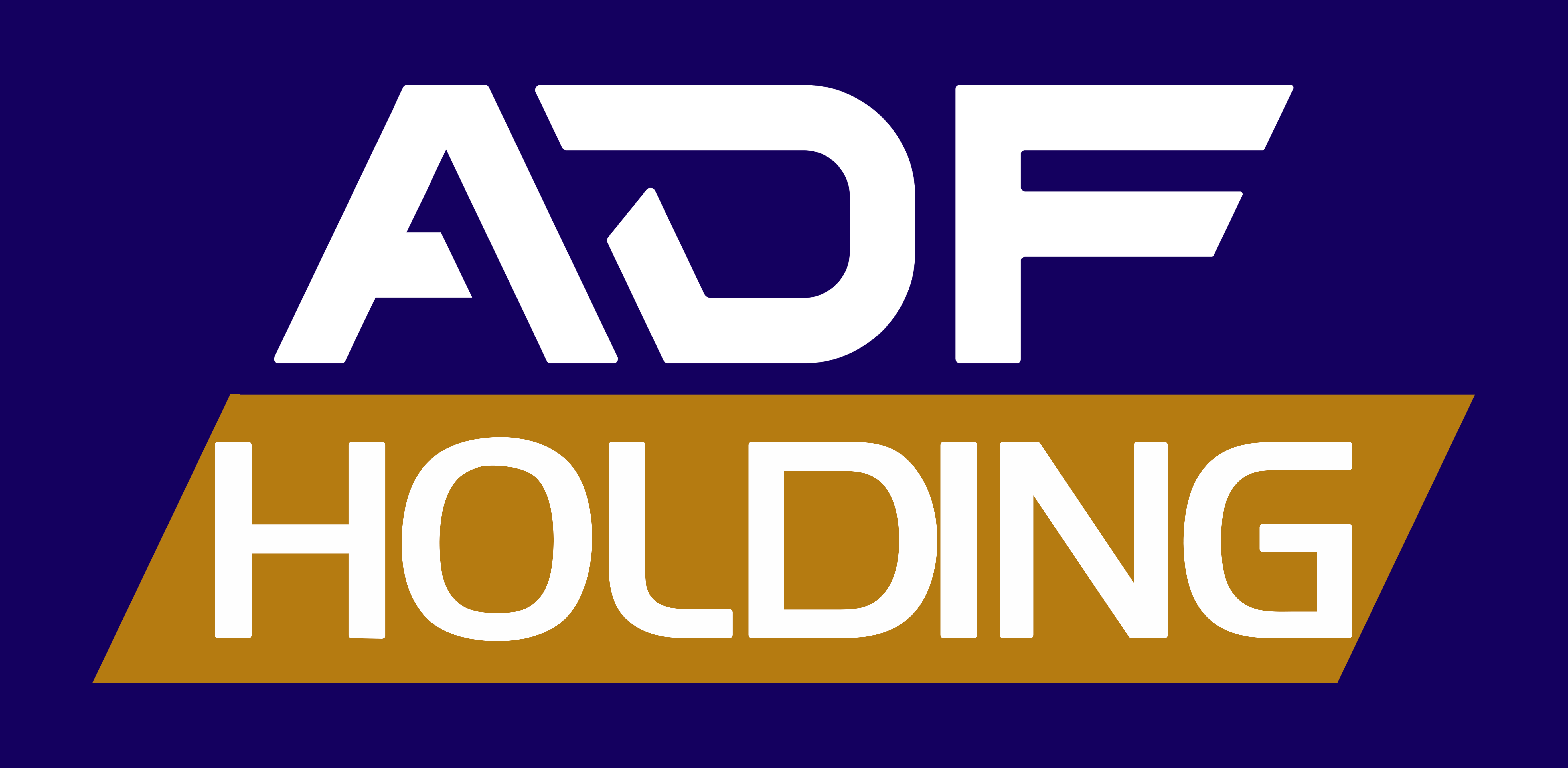 ADF HOLDING