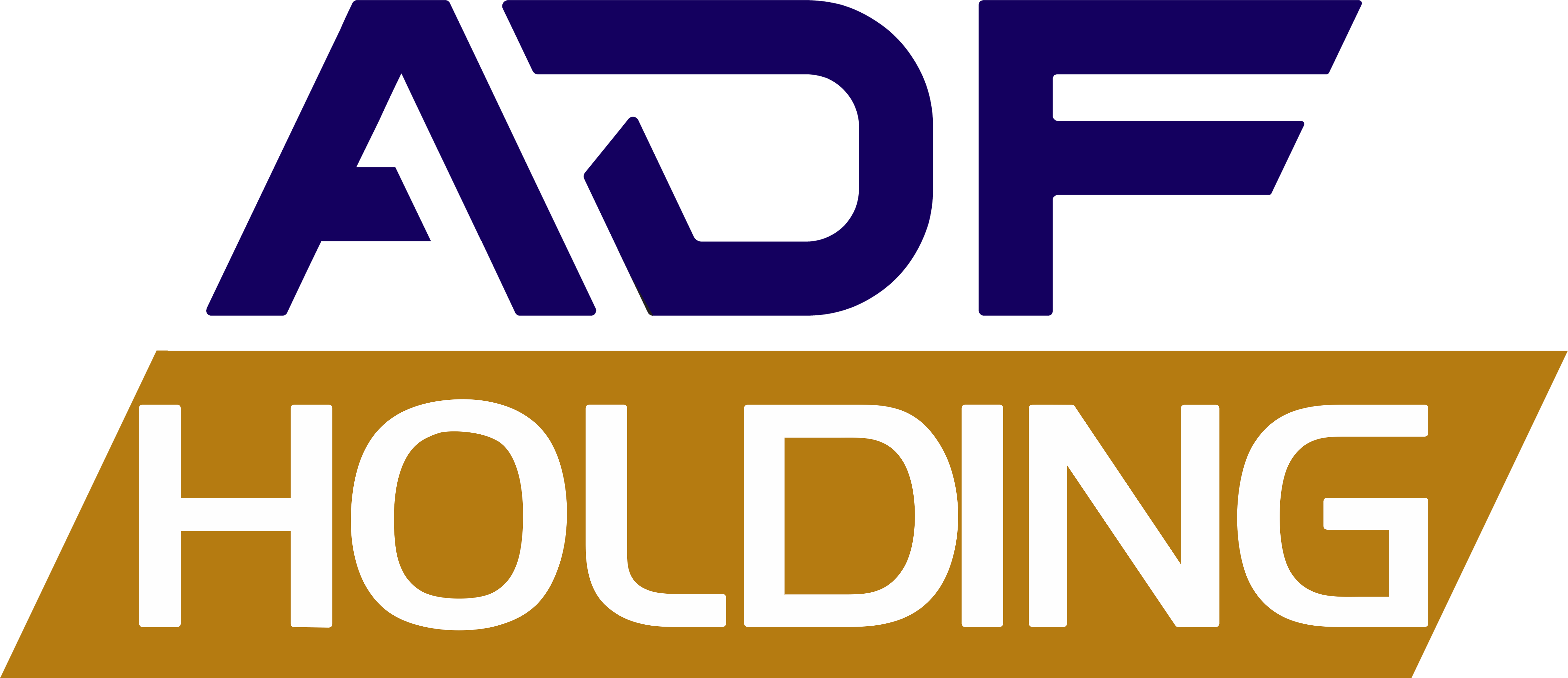 ADF HOLDING