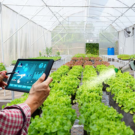 adf-holding-agriculture adf-holding-agriculture